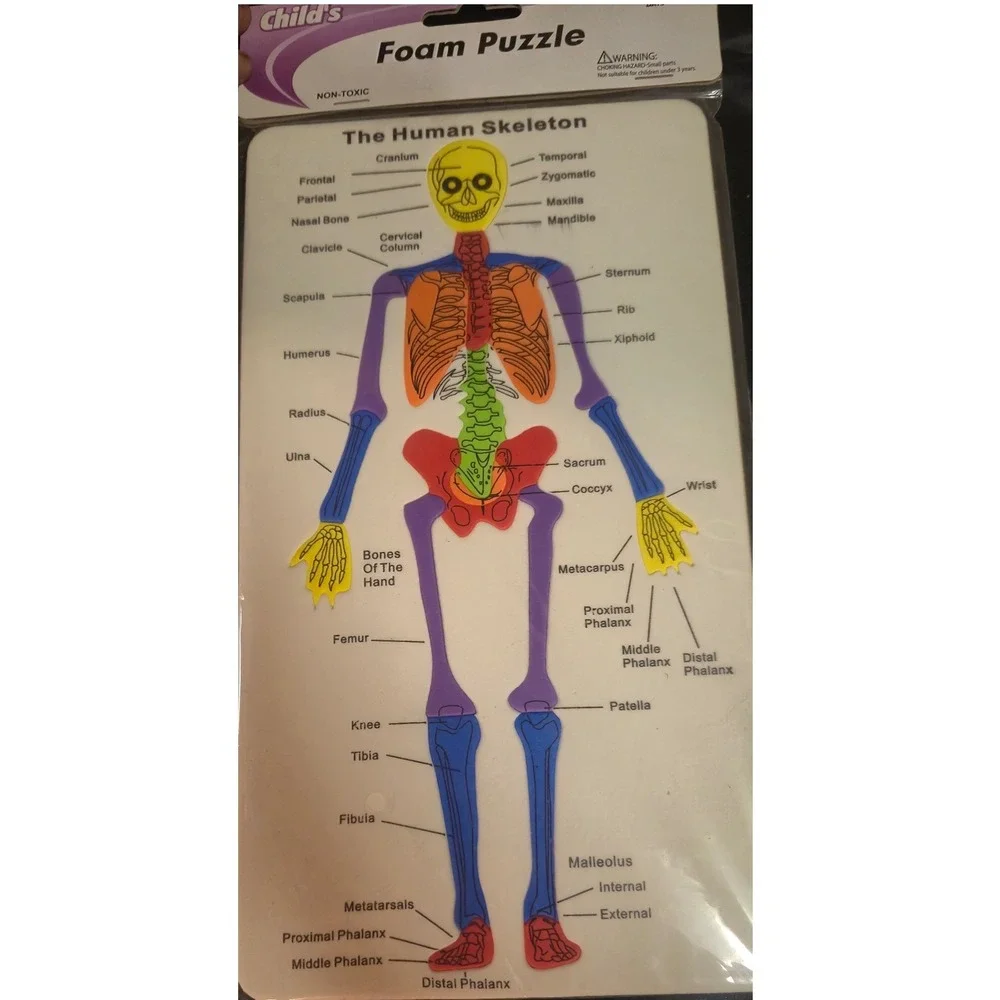 Childs Educational Foam Puzzle Set 4pk US Map Skeleton Brain Digestive System